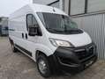 Opel Movano C L2H2 3,5t Edition Kundendienst neu Weiß - thumbnail 17