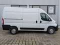 Opel Movano C L2H2 3,5t Edition Kundendienst neu Weiß - thumbnail 5