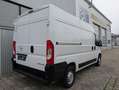 Opel Movano C L2H2 3,5t Edition Kundendienst neu Weiß - thumbnail 18