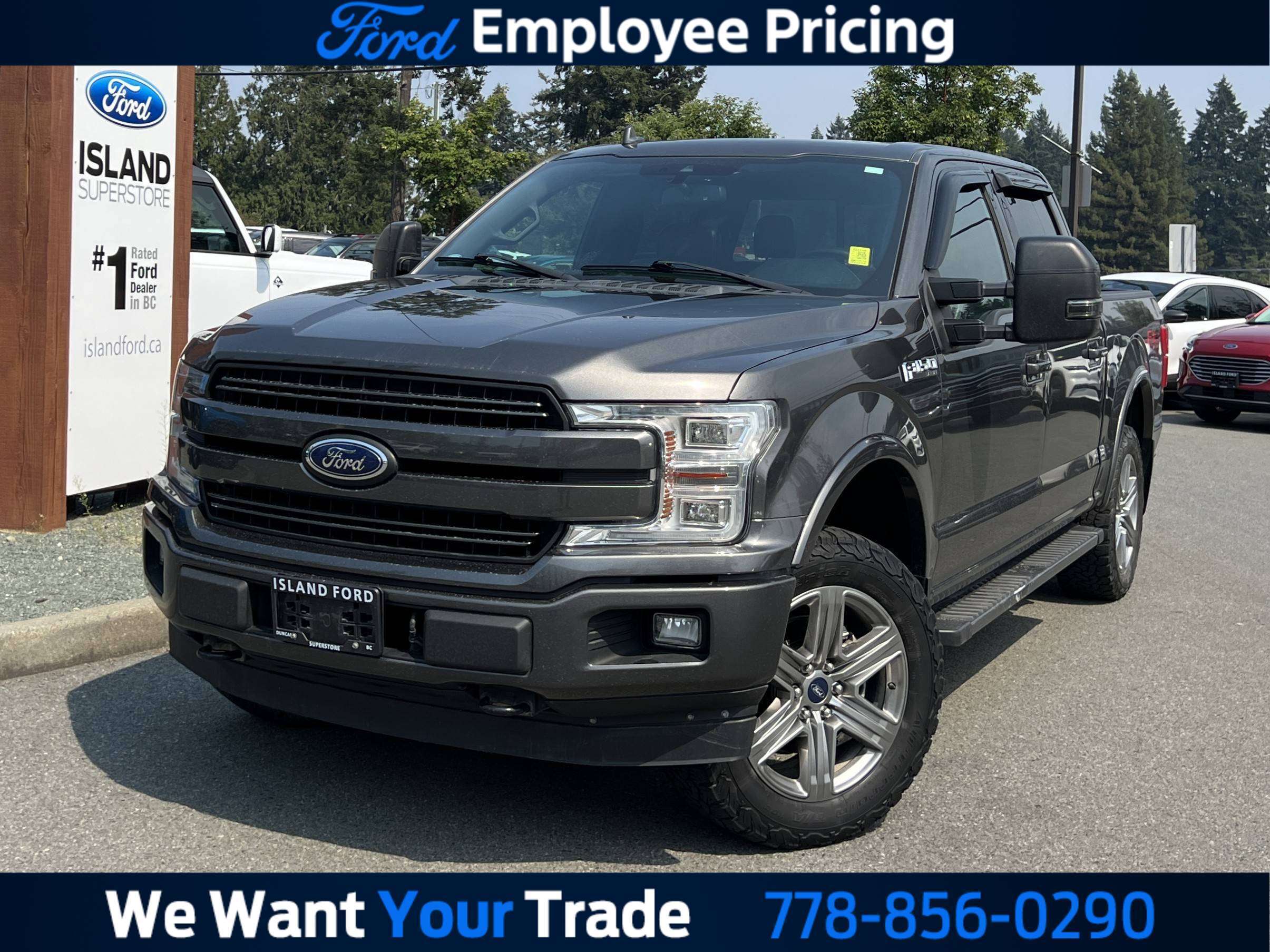 Gray 2018 Ford F-150 Pickup Truck Four-Wheel Drive Automatic