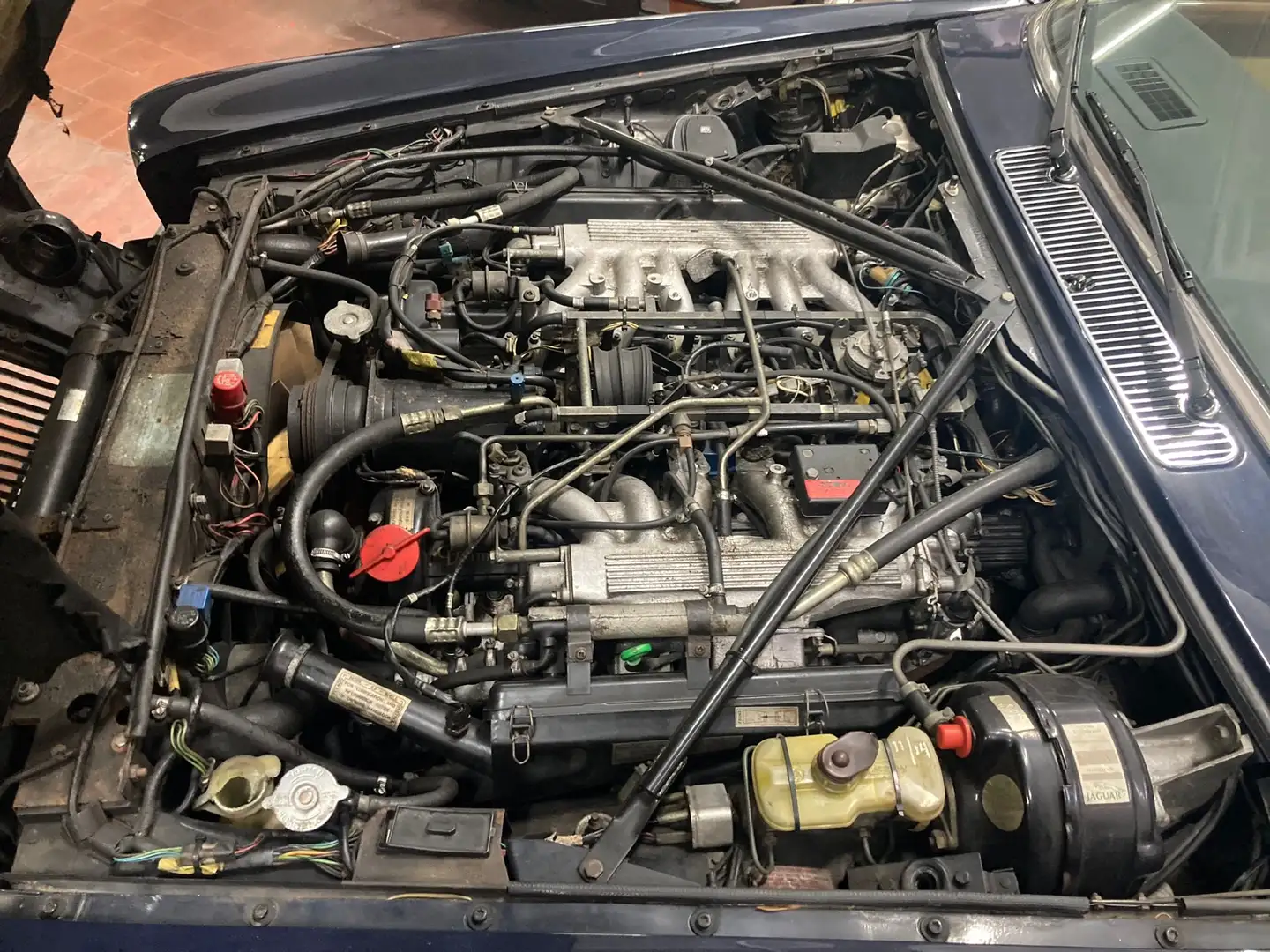 Daimler Double Six 5300 V12 Modrá - 2