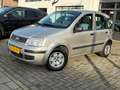 Fiat Panda 1.2 Dynamic, Airco,Stuurbekrachtiging,,Elektr.rame Grijs - thumbnail 1