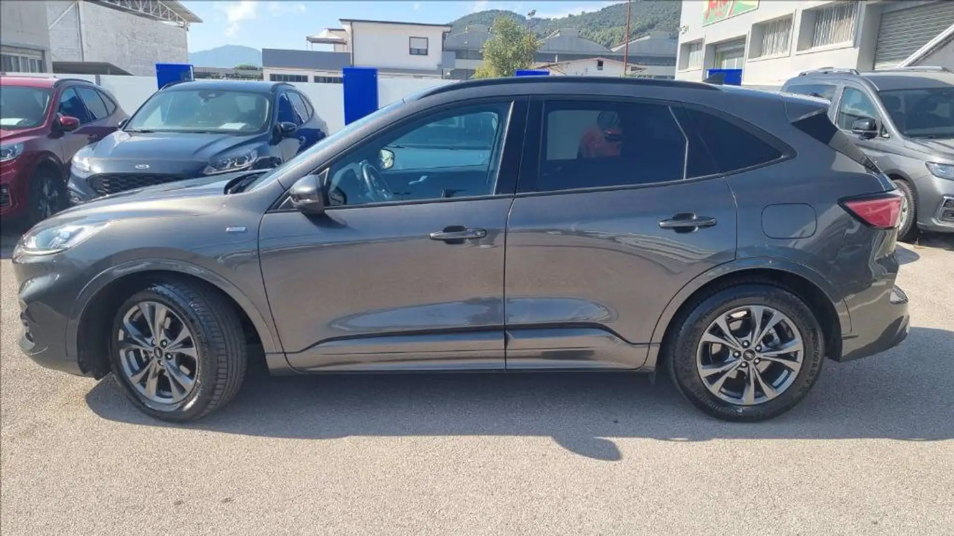 Ford Kuga 1.5 ecoblue st-line 2wd 120cv Gris - 2