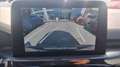 Ford Kuga 1.5 ecoblue st-line 2wd 120cv Gris - thumbnail 9