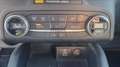 Ford Kuga 1.5 ecoblue st-line 2wd 120cv Gris - thumbnail 10