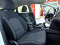 Kia Ceed / cee'd Ceed 1.0 T-GDI Edition 7 +FLA SpurH LM PDC KAM Weiß - thumbnail 20