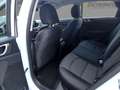 Kia Ceed / cee'd Ceed 1.0 T-GDI Edition 7 +FLA SpurH LM PDC KAM Weiß - thumbnail 8