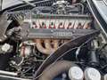 Maserati Mistral 3700*Frame Off Restauriert*TOP Gri - thumbnail 12