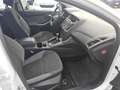 Ford Focus Focus 1.6 TDCi 115 CV LEGGI Blanc - thumbnail 20