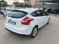 Ford Focus Focus 1.6 TDCi 115 CV LEGGI Blanc - thumbnail 15