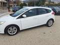 Ford Focus Focus 1.6 TDCi 115 CV LEGGI Blanc - thumbnail 3