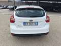 Ford Focus Focus 1.6 TDCi 115 CV LEGGI Blanc - thumbnail 13