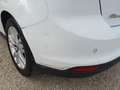 Ford Focus Focus 1.6 TDCi 115 CV LEGGI Blanc - thumbnail 12
