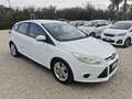 Ford Focus Focus 1.6 TDCi 115 CV LEGGI Blanc - thumbnail 22