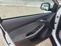 Ford Focus Focus 1.6 TDCi 115 CV LEGGI Blanc - thumbnail 9