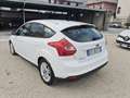 Ford Focus Focus 1.6 TDCi 115 CV LEGGI Blanc - thumbnail 11