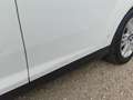 Ford Focus Focus 1.6 TDCi 115 CV LEGGI Blanc - thumbnail 7