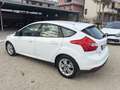 Ford Focus Focus 1.6 TDCi 115 CV LEGGI Blanc - thumbnail 4