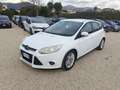 Ford Focus Focus 1.6 TDCi 115 CV LEGGI Blanc - thumbnail 5