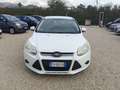 Ford Focus Focus 1.6 TDCi 115 CV LEGGI Blanc - thumbnail 2