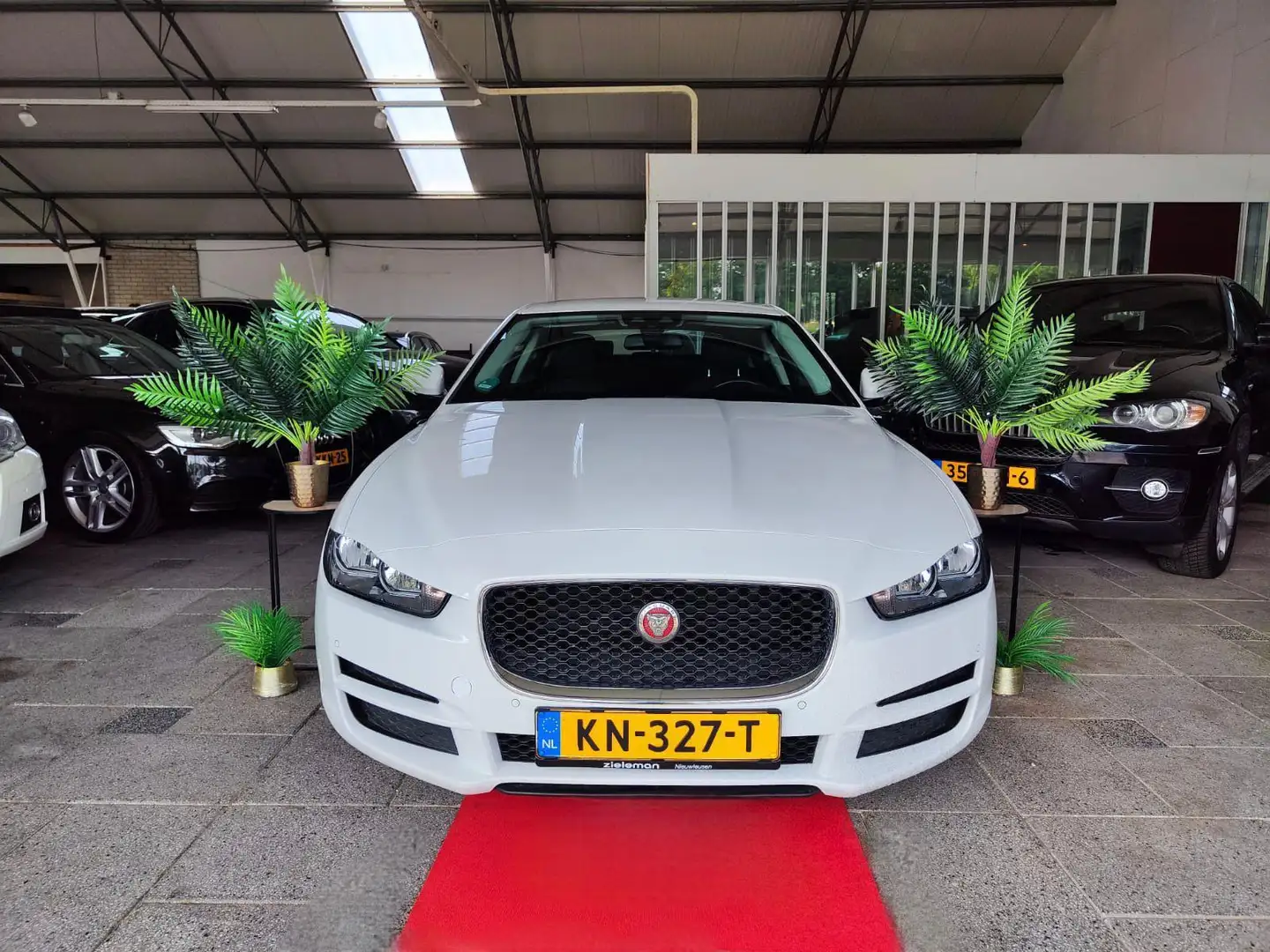 Jaguar XE 2.0D MANUAL Pure NAP! 2016 Wit - 1