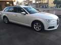 Audi A4 Avant 35 2.0 tdi Business Sport 150cv STRONIC Bianco - thumbnail 2