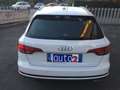 Audi A4 Avant 35 2.0 tdi Business Sport 150cv STRONIC Bianco - thumbnail 5