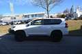 Toyota Land Cruiser 2.8l NESTLE OFFROAD Weiß - thumbnail 2