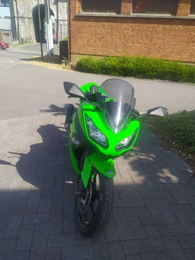 Kawasaki Ninja 300 Ninja Vert - 2