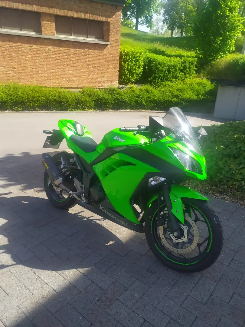 Kawasaki Ninja 300 Ninja Vert - 1