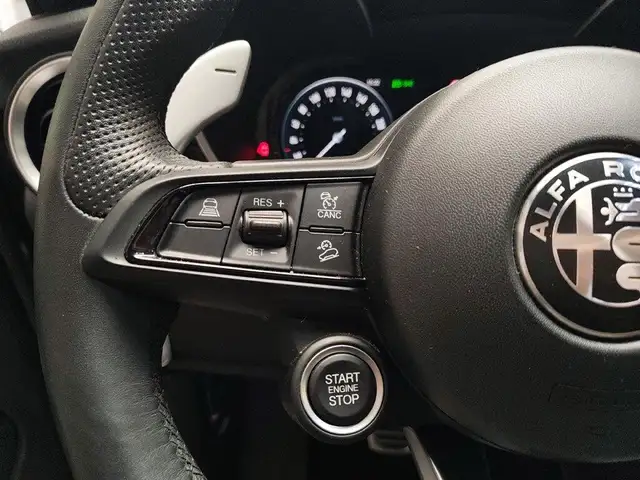 Alfa Romeo Stelvio view 17