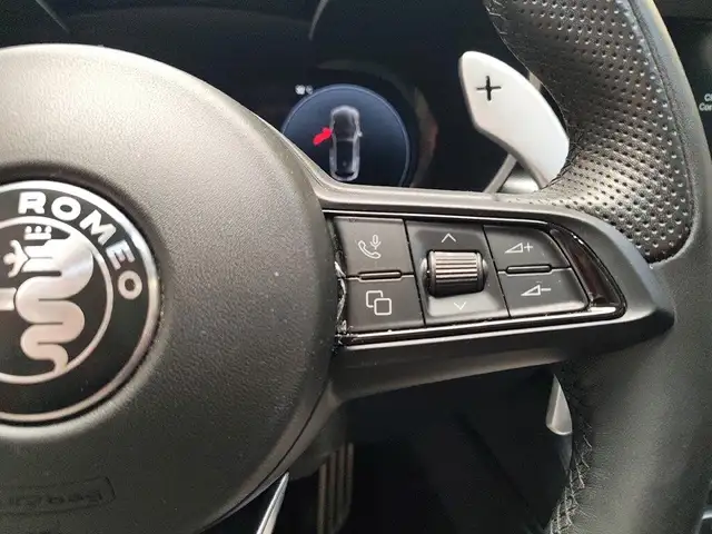 Alfa Romeo Stelvio view 18