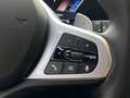 BMW 320 3-serie Touring 320e / M-pakket / Stuur + stoelver Grau - thumbnail 30