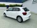 Volkswagen Polo 5p 1.6 tdi Trendline 80cv  OK PER NEOPATENTATI Bianco - thumbnail 5