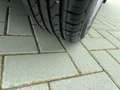 Volkswagen Polo 5p 1.6 tdi Trendline 80cv  OK PER NEOPATENTATI Bianco - thumbnail 12