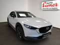 Mazda CX-30 X186 HOMURA inkl. AHV - thumbnail 17