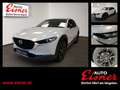 Mazda CX-30 X186 HOMURA inkl. AHV - thumbnail 1