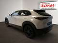 Mazda CX-30 X186 HOMURA inkl. AHV - thumbnail 11