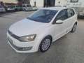 Volkswagen Polo 1.6 TDI DPF 5 porte Comfortline Blanc - thumbnail 3