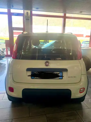 Fiat New Panda 1000 HYBRID CITILIFE