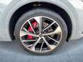 Audi SQ5 TDI AHK/Matrix/Nav/21"/B&O/ASI/ACC Grau - thumbnail 7