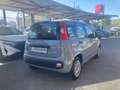 Fiat Panda 1.0 firefly hybrid s Grijs - thumbnail 5