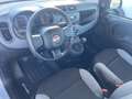 Fiat Panda 1.0 firefly hybrid s Grijs - thumbnail 8