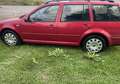 Volkswagen Golf Variant Pacific Rot - thumbnail 5