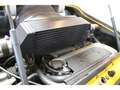 Lotus Exige Exige 1.8i 16V  2006 Cup Giallo - thumbnail 23
