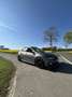 Volkswagen Polo GTI 2.0 TSI OPF DSG - thumbnail 3