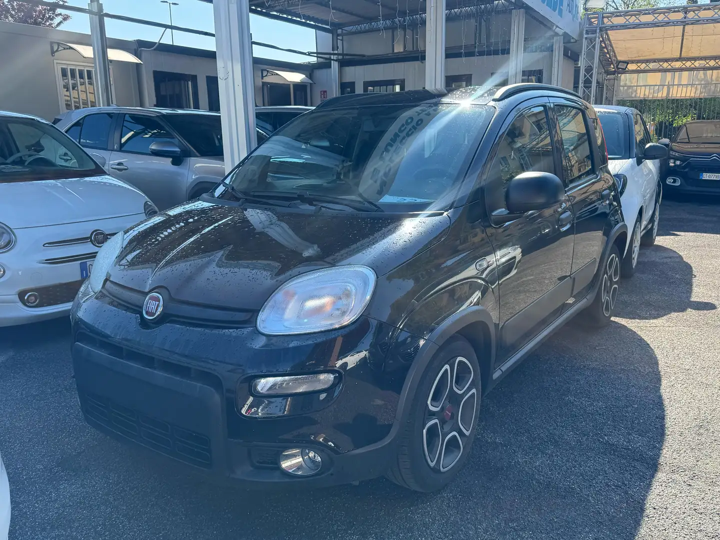 Fiat Panda 🔸PANDA NERA 1.0 HB BENZINA MANUALE Nero - 1