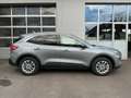 Ford Kuga 2.0 EcoBLue Silber - thumbnail 3