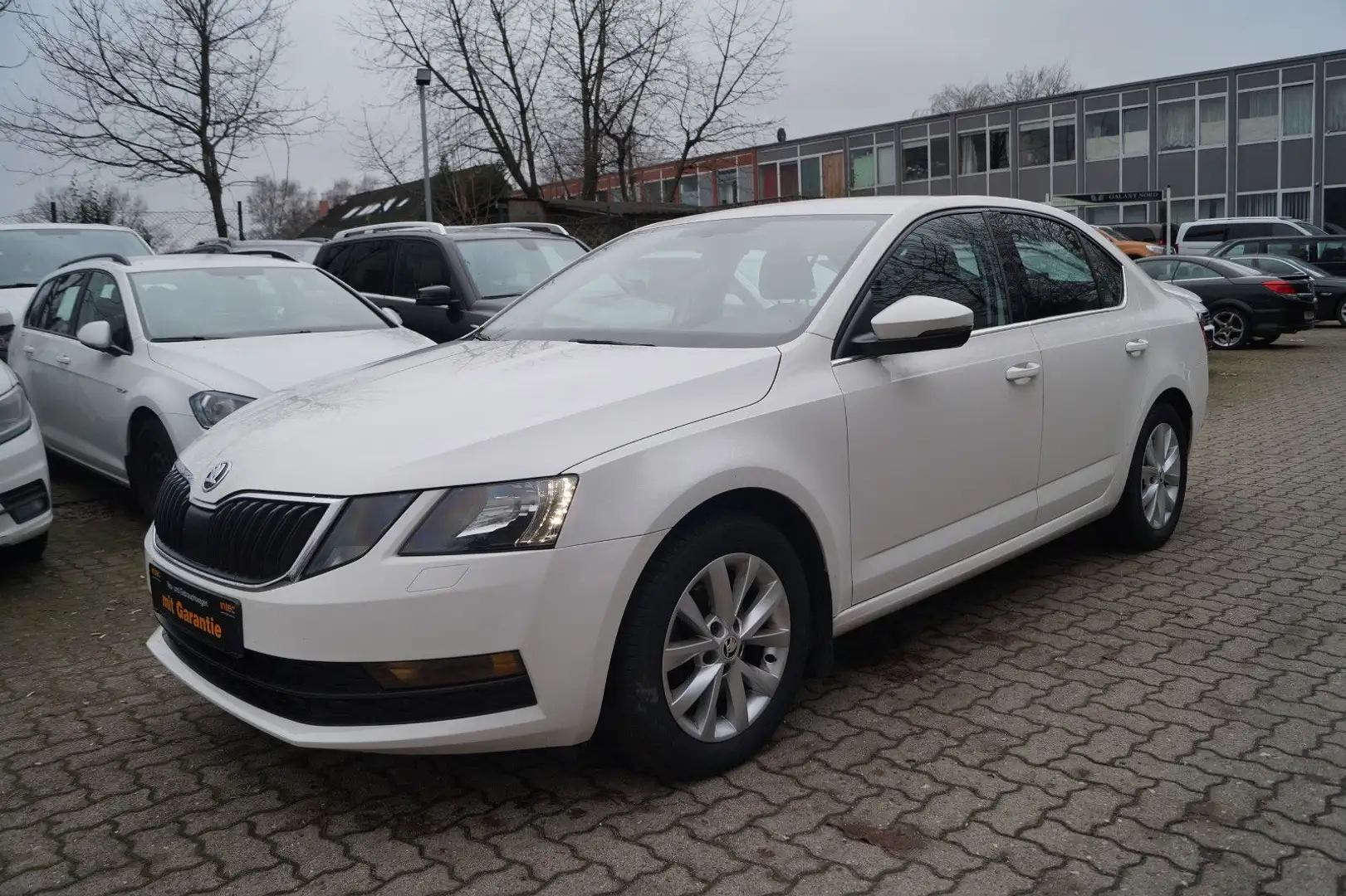 Skoda Octavia 1,4 G-TEC CNG Lim. Ambition 1.Ha. Standh Blanc - 1