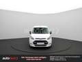 Ford Tourneo Grand *Rollstuhl-Rampe* Kamera (3779) Weiß - thumbnail 4